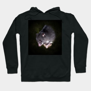 Ground cuscus Hoodie